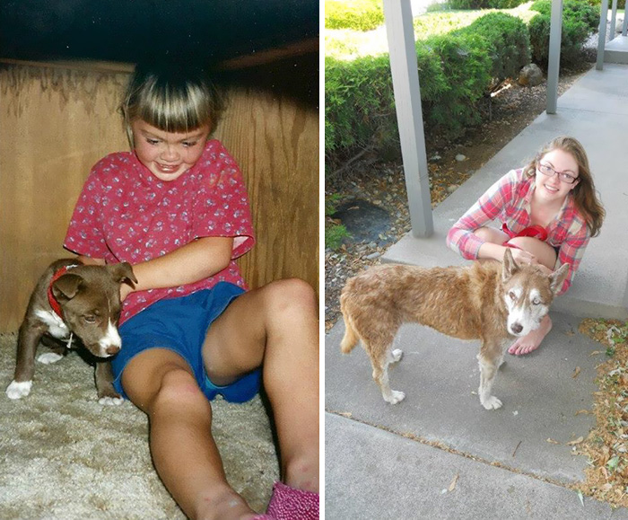 before-after-pets-growing-old-first-last-photos-37-577b9fb6a7607__700