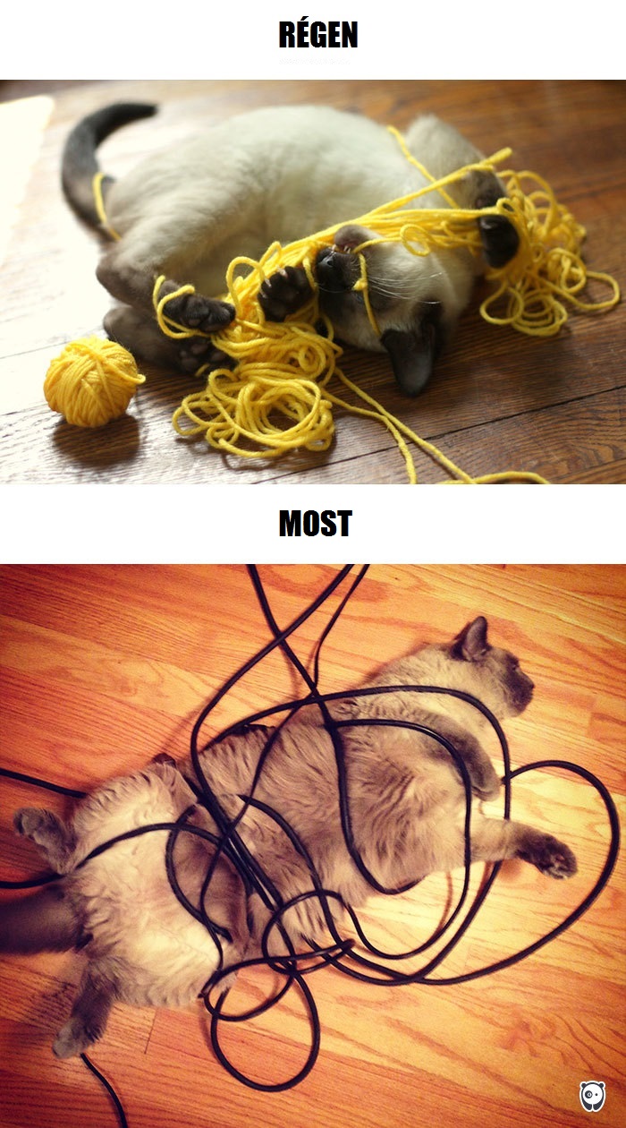 cats-then-now-funny-technology-change-life-7-571600912d6af__700