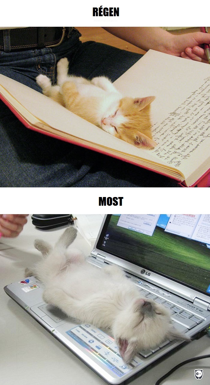cats-then-now-funny-technology-change-life-8-571614339bfc2__700