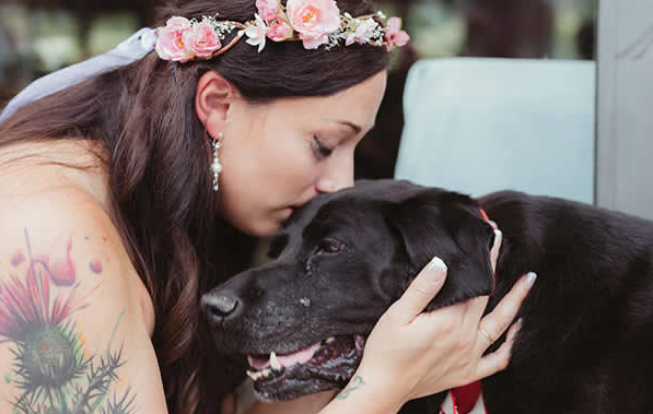 A 15 éves kutyus, aki utolsó erejével még elment gazdája esküvőjére