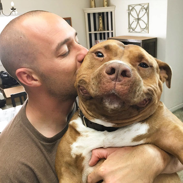 rescued-smiling-pitbull-meaty-23
