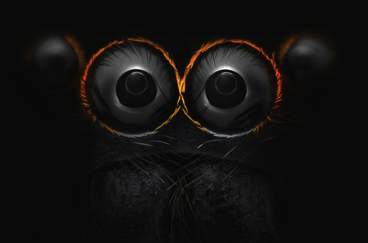 Nikon makrófotóverseny: olyat mutatnak a világból, amit még nem láttunk