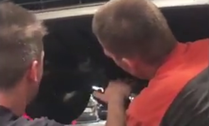 Szétszedték a Fordot, hogy kimentsék a motortérbe szorult szombathelyi cicát – videó