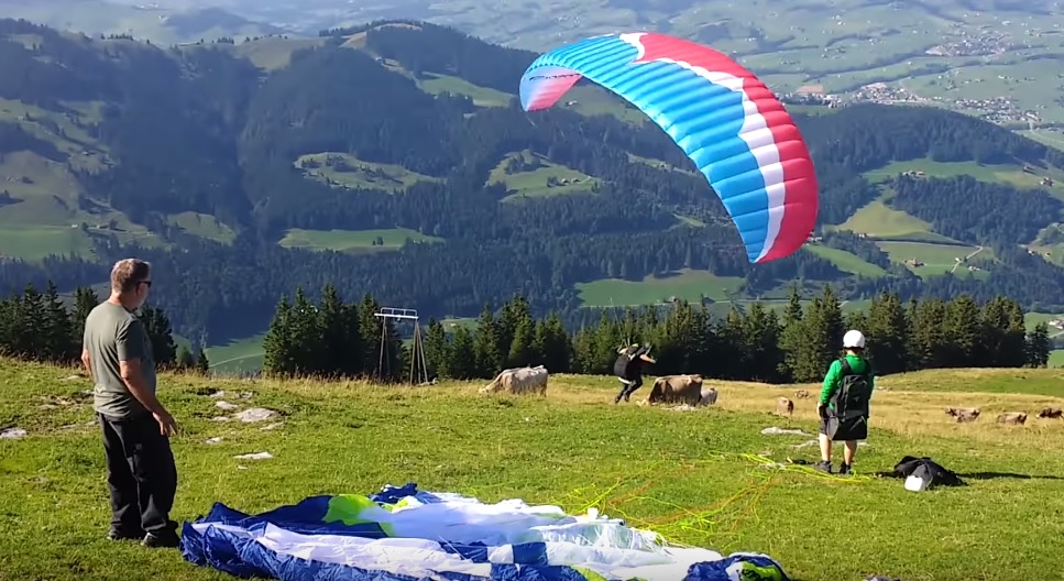 Tehén és siklóernyős karambolozott Svájcban – videó