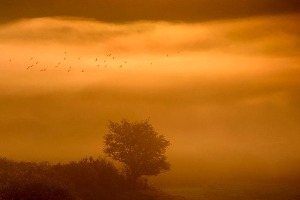 Köd és napfelkelte Cered közelében (MTI Fotó: Komka Péter)