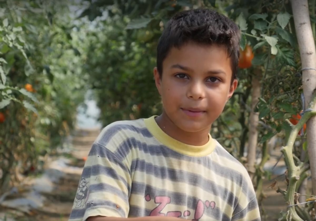 Torokszorító kisfilmet készítettek az egyik legszegényebb magyar faluról helyi gyerekek