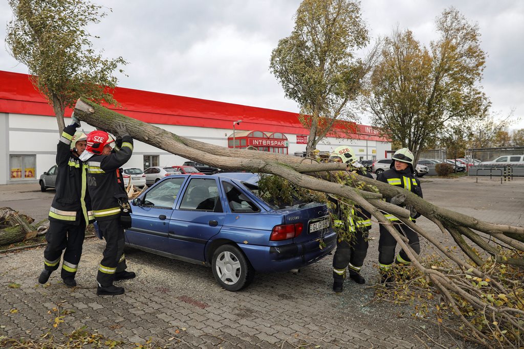 Autóra dőlt fát távolítanak el tűzoltók egy áruház parkolójában Szentendrén. MTI Fotó: Mohai Balázs