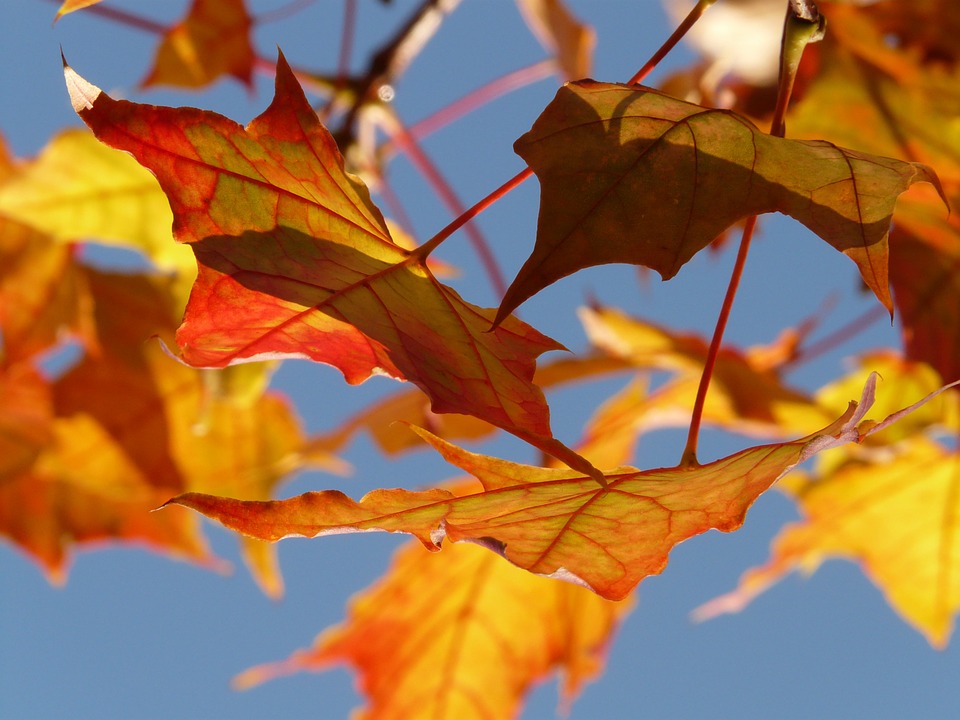Visszatér a szép ősz – ilyen meleg lesz a héten