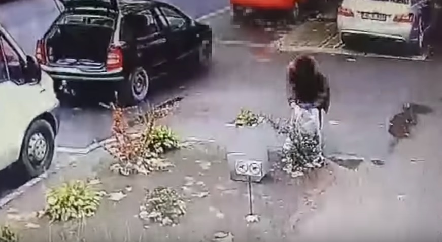 Vödörszámra tették ki, majd lopták el a kutyaszart Nyíregyházán – videó