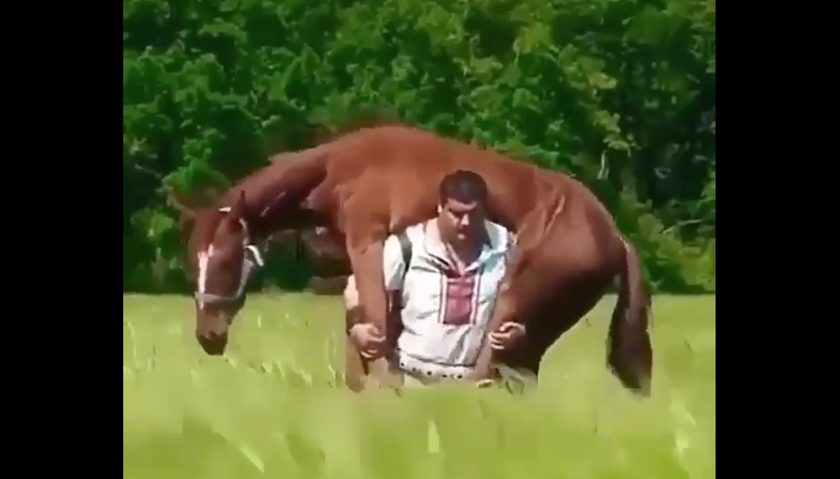 Hátán vitte lovát 5 kilométeren át a gazda, miután megmarta egy kígyó – videó