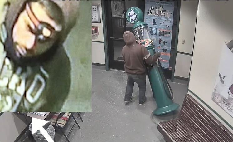 Rágógumiautomatát lopott a kutyamenhelyről, az év bénázását vette fel a kamera