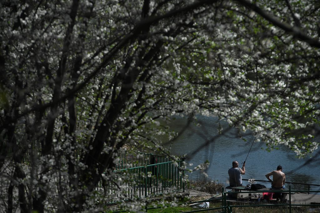 Tavasz Budapesten (MTI Fotó: Kovács Tamás)