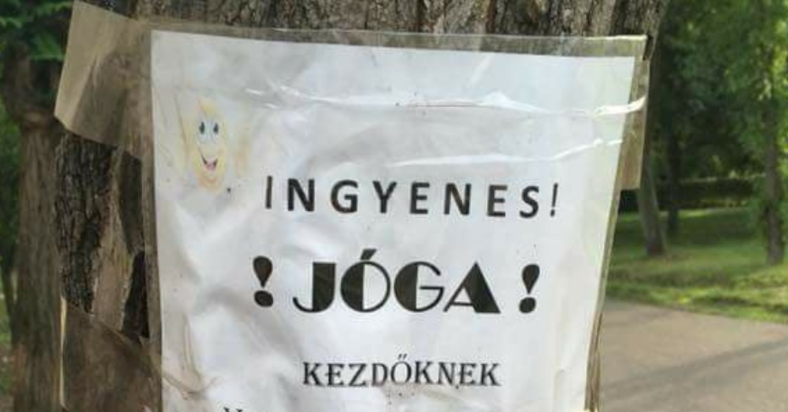 Berágott valaki a kutyaszarok miatt, zseniális plakátot tett ki Budapesten