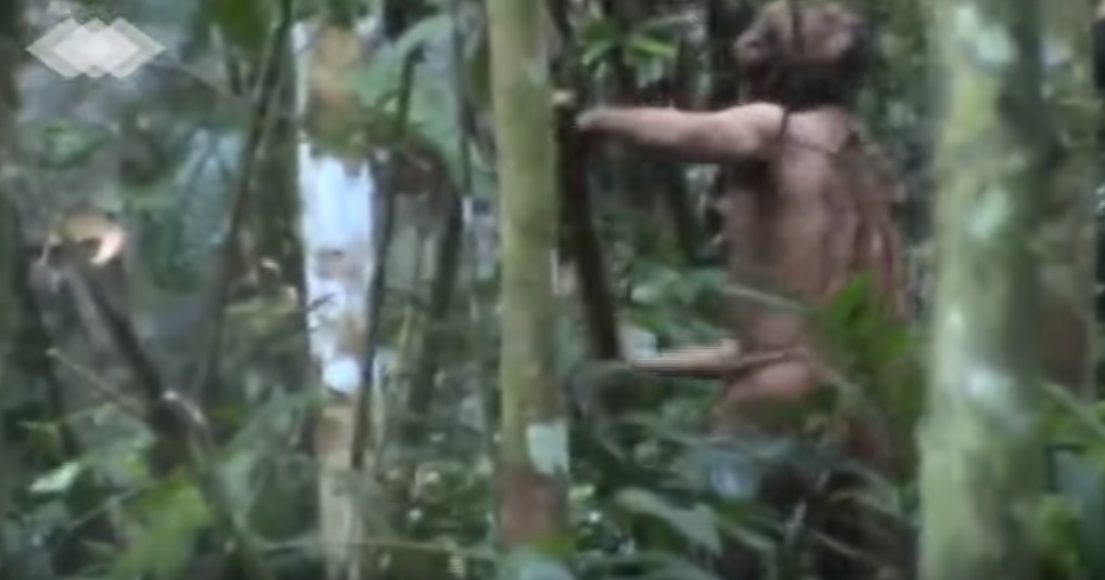 Rejtett kamerás videón egy amazonasi törzs utolsó élő tagja