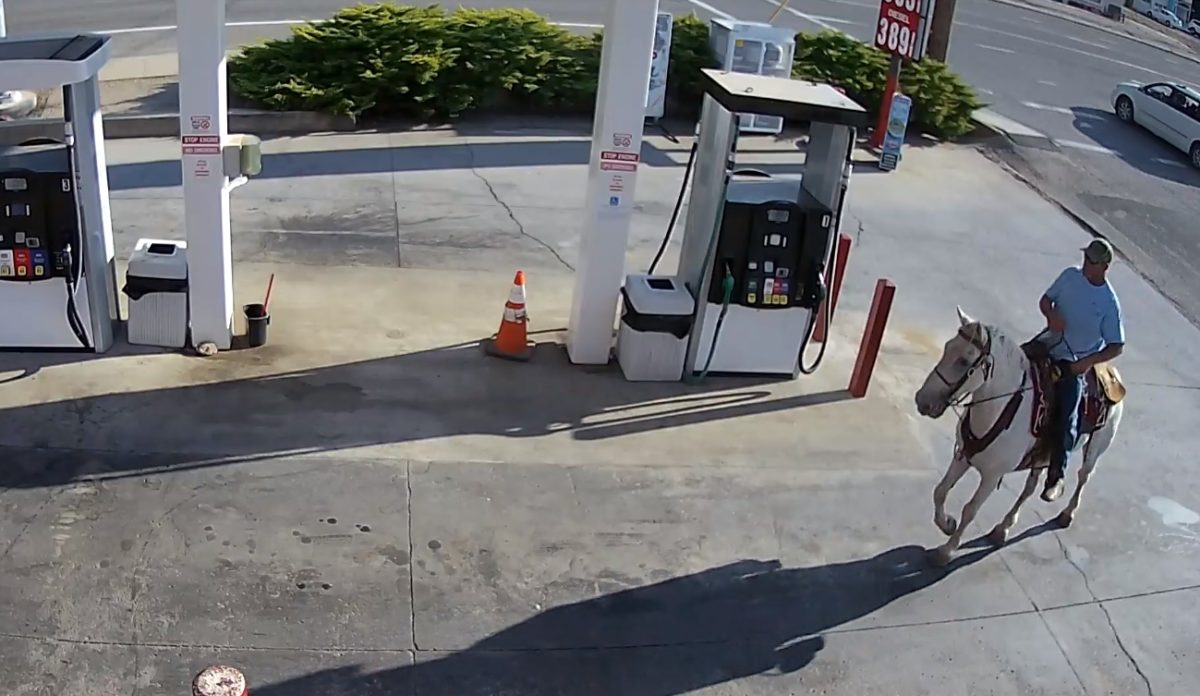 Belovagolt piásan a benzinkútra, kabaréba illő, ami ezután történt – videó