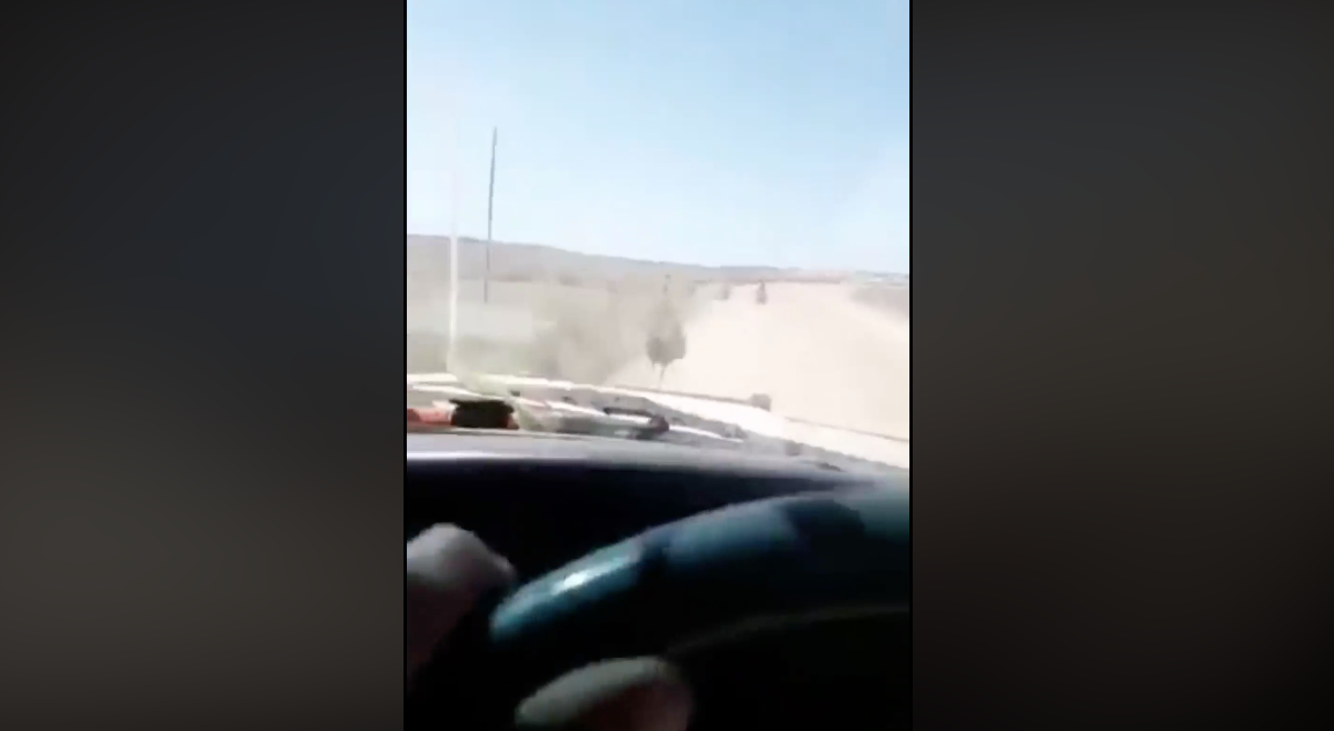 Röhögve gázolt el egy csapat emut egy srác – videóra vette